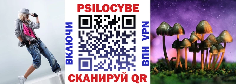 что такое   Осташков  Псилоцибиновые грибы Psilocybine cubensis 